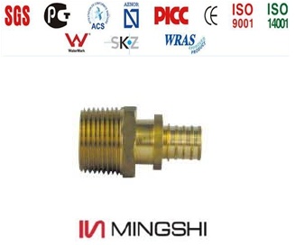 Pex Pipe Fittings with GOST Certificate - Male Straight Connector