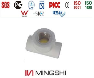 PPR Fitting with Certificate - Female Tee