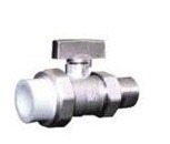 PPR Female Valve