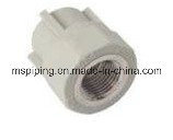PPR Fitting with Certificate - Female Straight