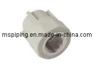 PPR Fittings -PPR Female Straight