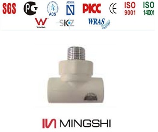 PPR Fitting with Certificate - Male Tee