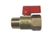 Straight Male and Female Valve