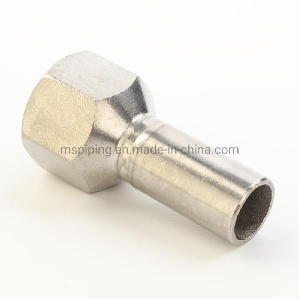 V Type Stainless Steel Fittings- Female Long Connector at Good Price