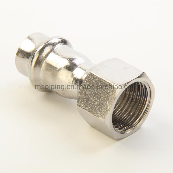 V Type Stainless Steel Fittings- Female Straight at Good Price