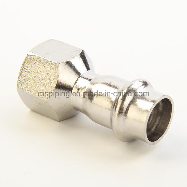 V Type Stainless Steel Fittings- Female Straight at Good Price