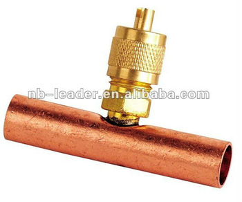 Check valve