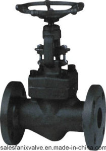 American Standard Forged Steel Flange Globe Valve