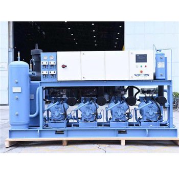 Piston parallel bitzer compressor condensing unit in safe refrigeration