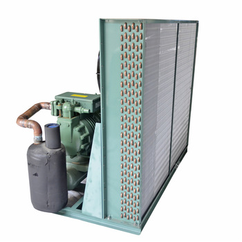 Bitzer/copeland Semi enclosed Piston air-cooled condensing unit for cold room