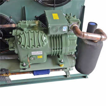 Bitzer/copeland Semi enclosed Piston air-cooled condensing unit for cold room