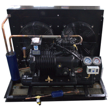 Semi-enclosed piston bitzer two fans Air Cooled Condenser Unit For Freezer Room