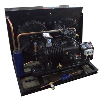 Semi-enclosed piston bitzer two fans Air Cooled Condenser Unit For Freezer Room