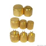 VALVE CAPS 