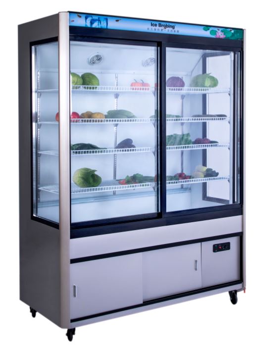 Good Price Fan Cooler Flower Cooler Glass Door Cabinet