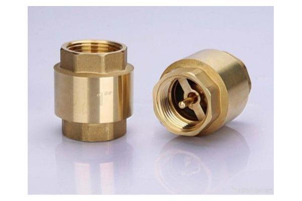 Brass Vertical Check Valve with Brass or Plastic Core