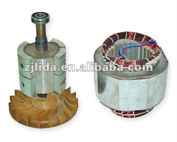 Brushless permanent magnet generator