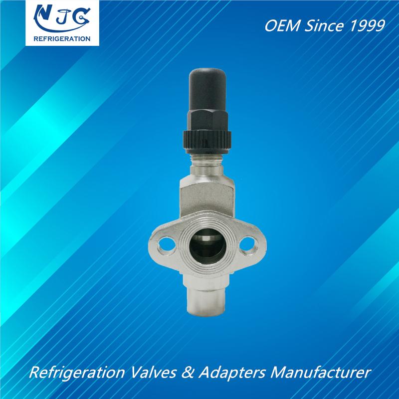 Compressor Valve With an Oval Flange 5/8” ODS x 44mm Flange Center Distance Bitxxx Type