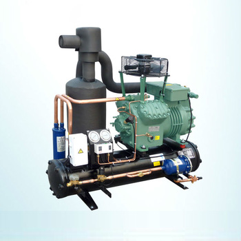 High Quality 20Hp Compressor Air Cooled Bitzer Condensing Unit For Food Shop