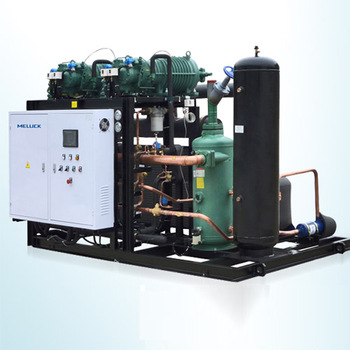 Low Cost Maintenance Custom Design Open Type Condensing Unit For Cold Chamber Room