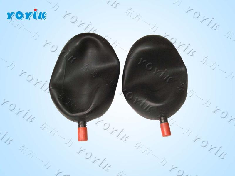 Vietnam Thermal Power <font color='red'>Bladder</font> & Gas valve <font color='red'>NXQ</font>-A-<font color='red'>25</font>/31.5-<font color='red'>L</font>-Y