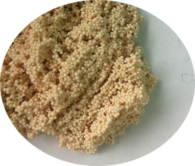 <font color='red'>Condensate</font> <font color='red'>polishing</font> processing <font color='red'>resin</font> for water