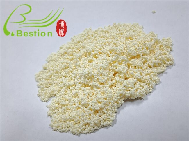 Bestion ultrapure water polished resin