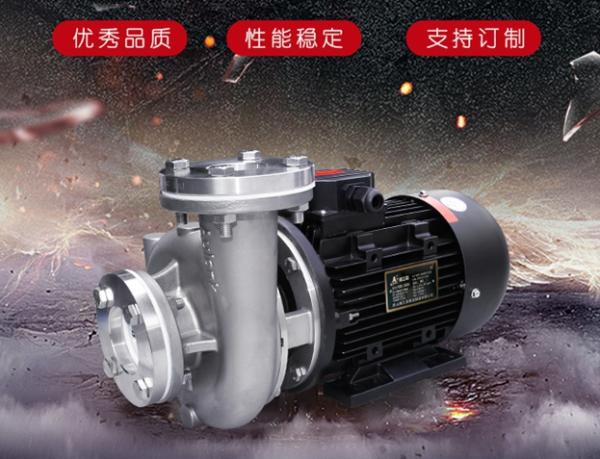 SS 304 hot oil pump for food machine