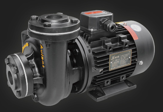 0 75kw 1Hp small single stage hot oil pump for 200 degree hot oil