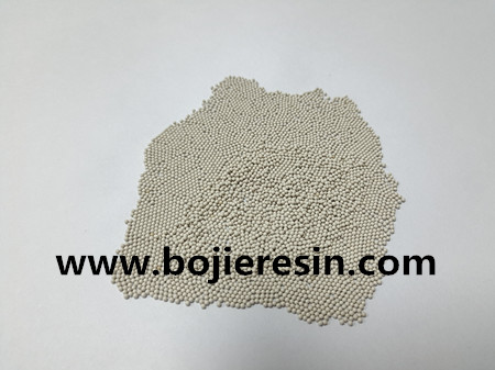 Lipase carrier resin