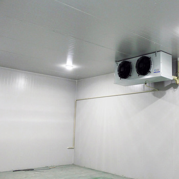 PU insulation sandwich panels Walk In Cold Room for fruits fresh storage