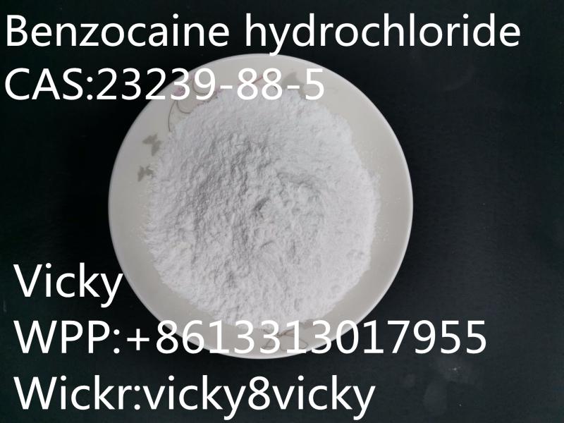 Benzocaine hydrochloride	23239-88-5	white powder