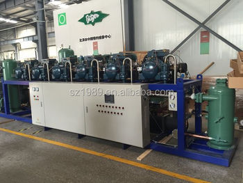 R404a parallel screw compressor chillers for frozen food storage