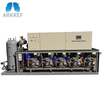 Parallel Piston Type Compressor Condensing Unit For Cold Room