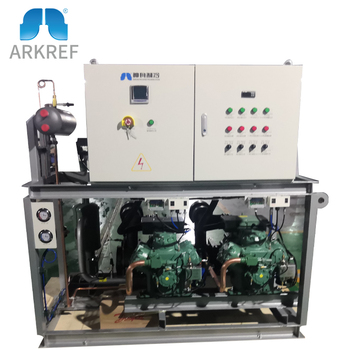 Refrigeration System High Temperature Piston Parallel Unit For Cold Storage