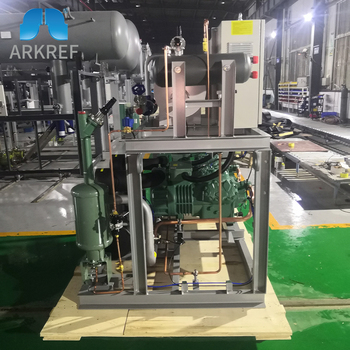 Refrigeration System High Temperature Piston Parallel Unit For Cold Storage