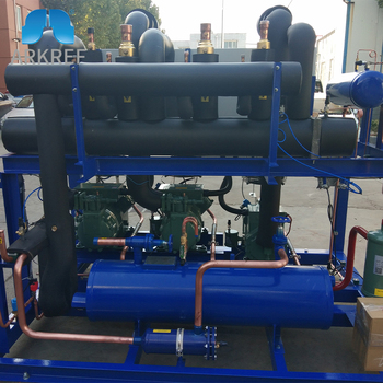 Cold Room Low-temperature Quick-freezing Parallel Refrigeration Bitzer Compressor Unit Equipment