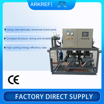 Long Service Life, Cost Price, Low Temperature Refrigerating Chamber Piston Compressor Parallel Unit