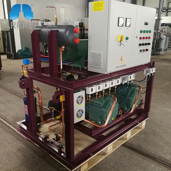 Factory Direct Supply Cold Storage Parallel Unit Bitzer Refrigeration Unit