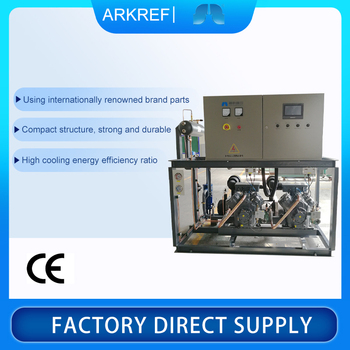 Stable Operation Support Customized High Temperature Piston Parallel Unit