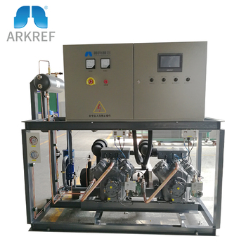 Stable Operation Support Customized High Temperature Piston Parallel Unit
