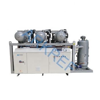 Bitzer Cold Room Cold Storage Refrigeration Unit Screw Type Blast Freezer Condensing Unit
