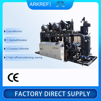 Ultra-low Temperature Freezer Raspberry Iqf SPHSCV2160Y Industrial Blast Freezer Ice Cream