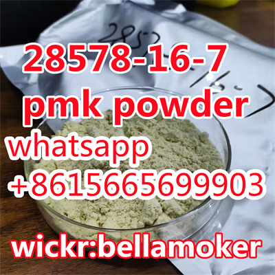 .CAS 28578-16-7 pmk/pmk liquid/pmk oil