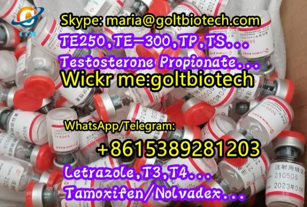 methenolone enanthate primobolan 100 200mg buy Metenolone enanthate primo injection tablets for sale China suppliers WAPP:+8615389281203