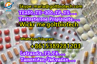 methenolone enanthate primobolan 100 200mg buy Metenolone enanthate primo injection tablets for sale China suppliers WAPP:+8615389281203
