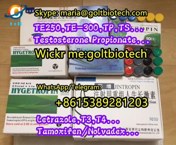 methenolone enanthate primobolan 100 200mg buy Metenolone enanthate primo injection tablets for sale China suppliers WAPP:+8615389281203