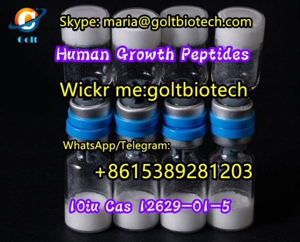 HGH Growth Hormone Adipotide Cas 9002-72-6 10iu for weight loss China source factory Wickr me:goltbiotech