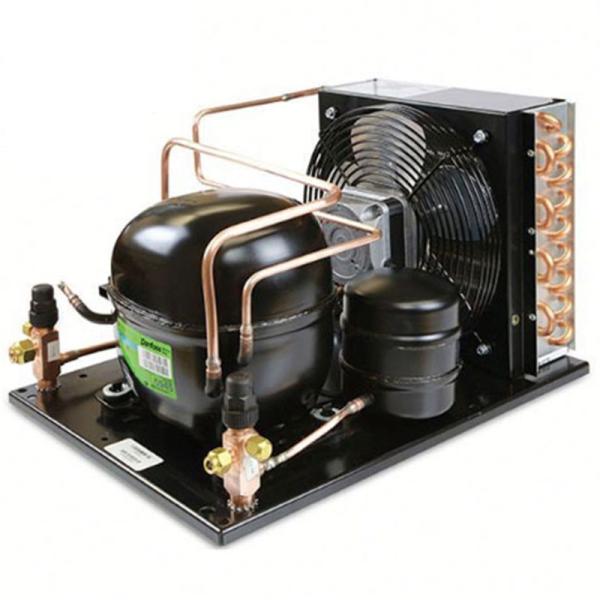 High Quality Simple Maintenance R290 220-240v/50hz Condensing Unit For Fresh Storage