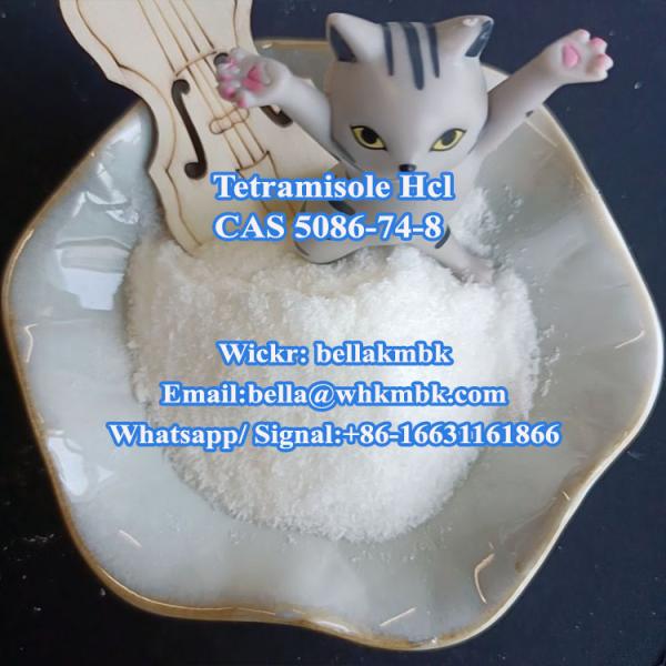 Factory Supply Tetramisole HCl CAS 5086-74-8 Powder with Safety Delivery